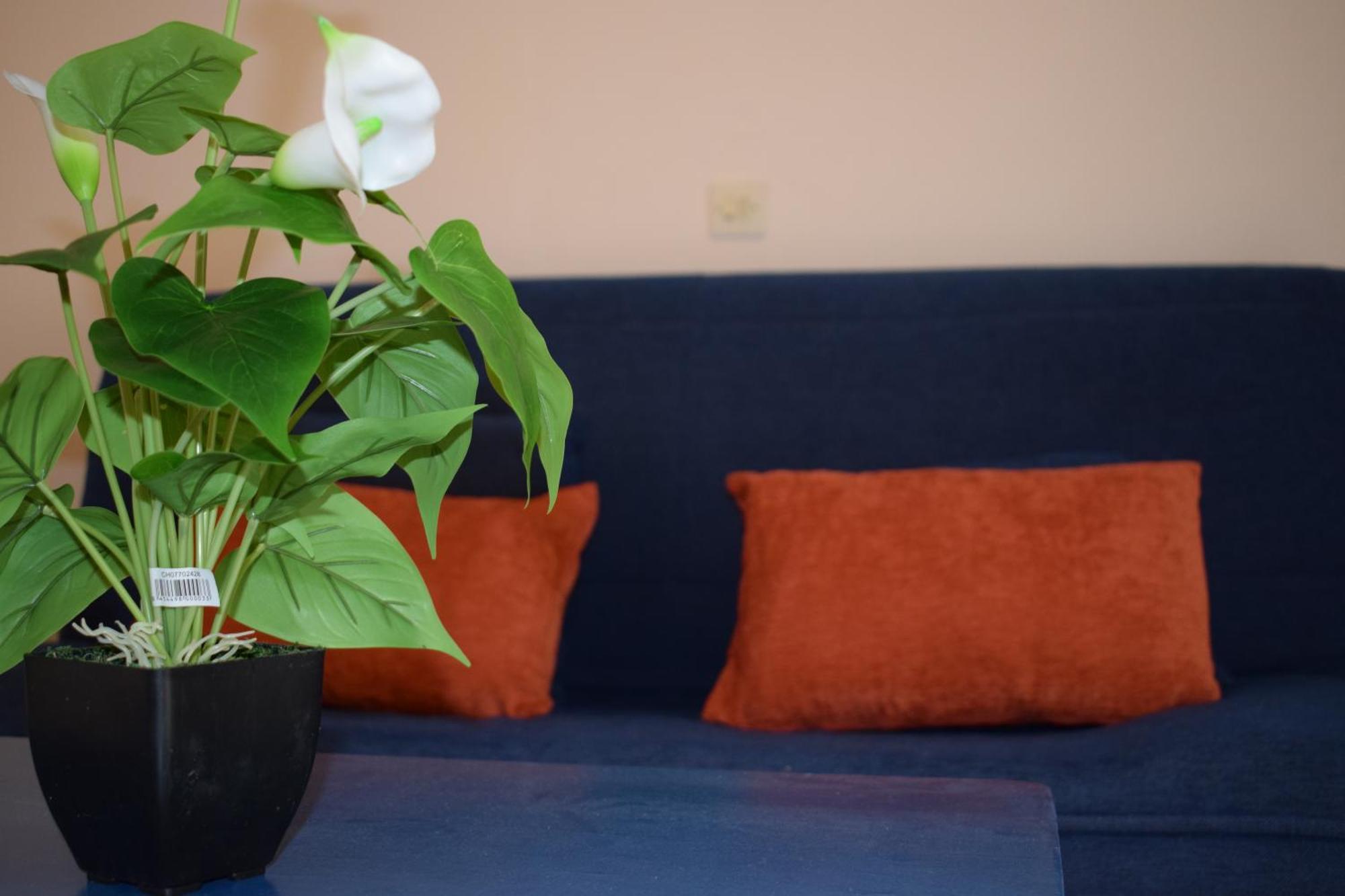 Paradisus Apartments Barbati Dış mekan fotoğraf